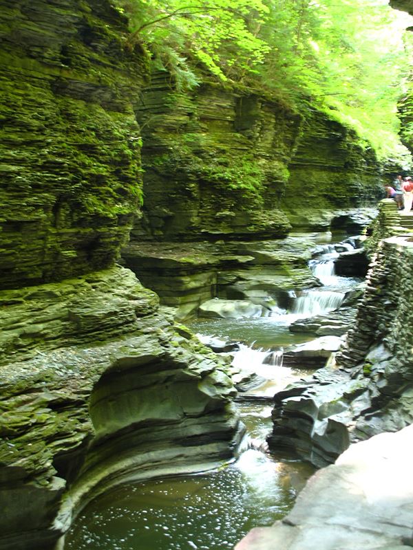 Taken by Pam Rutledge